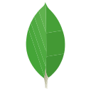 MongoDB
